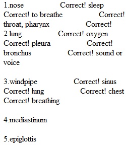 Quiz 7